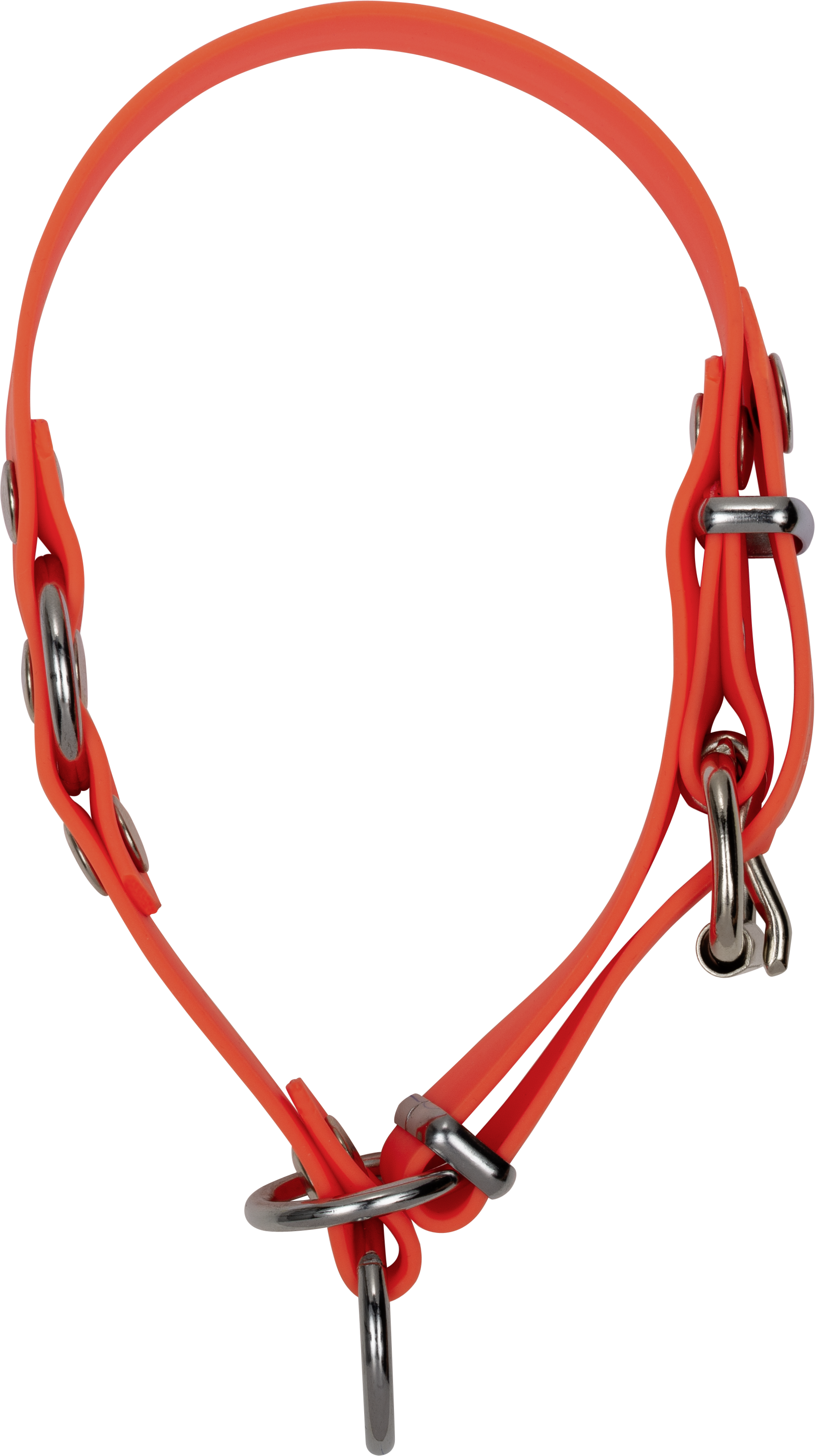 Blaser Dog Collar Professional orange