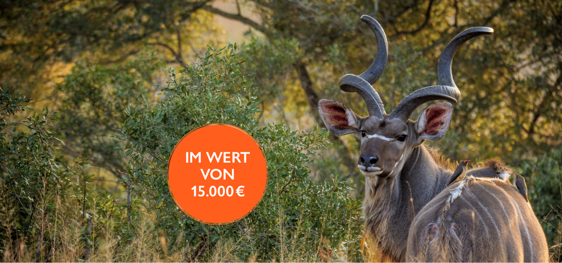 Jetzt mitmachen und Gewinnen