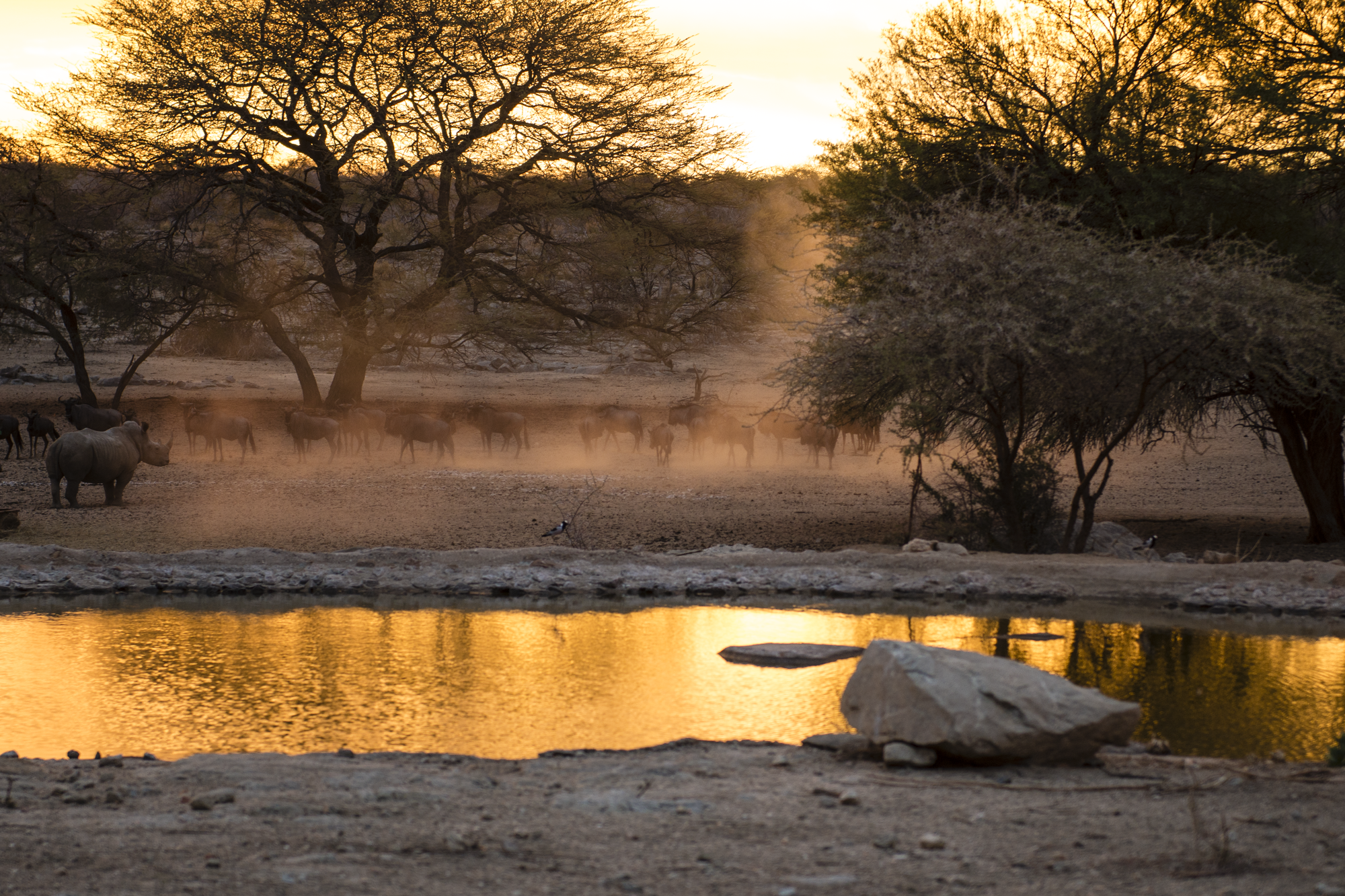 Wilderness, water & wide open spaces – hunting in the Caprivi Strip