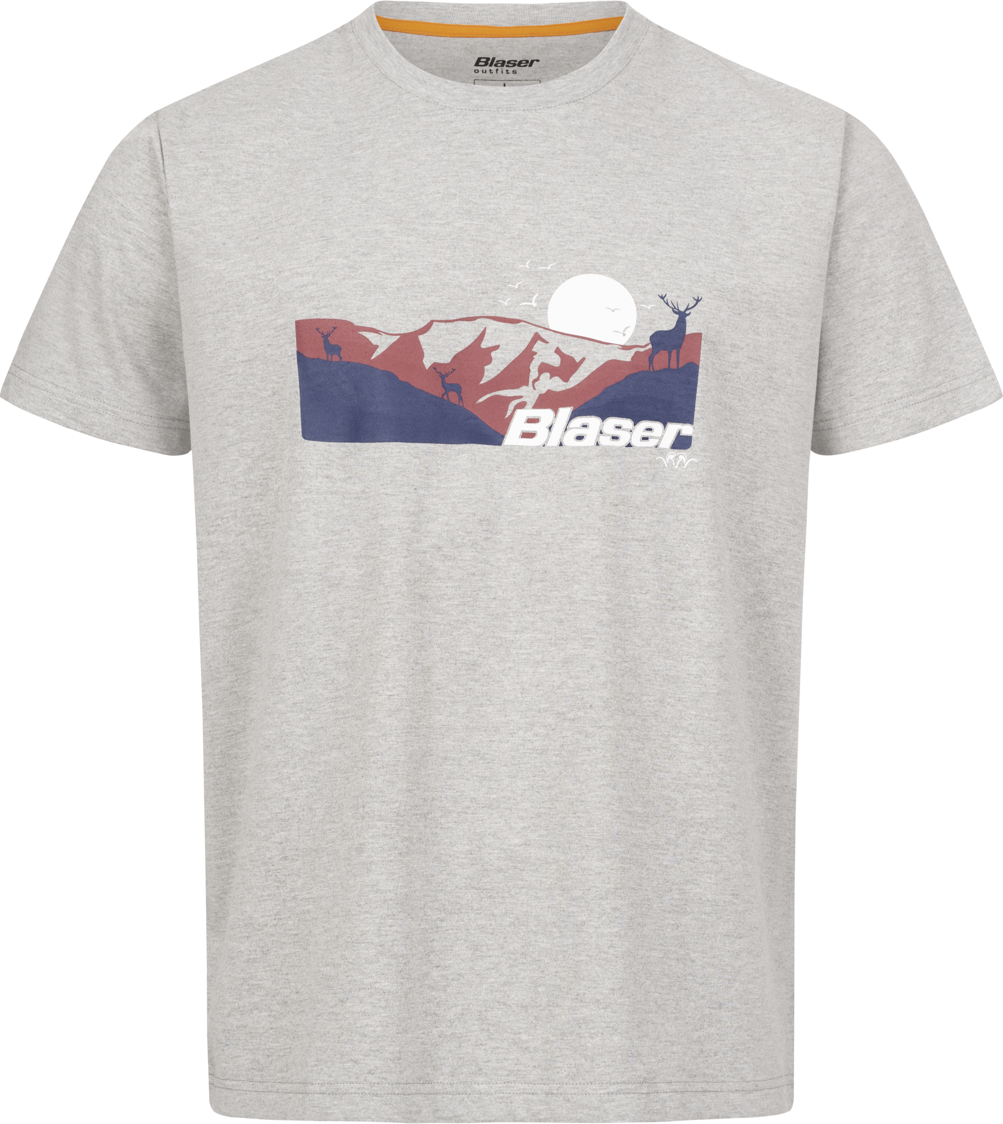 Herren Allgäu Mountain T-Shirt grau mélange