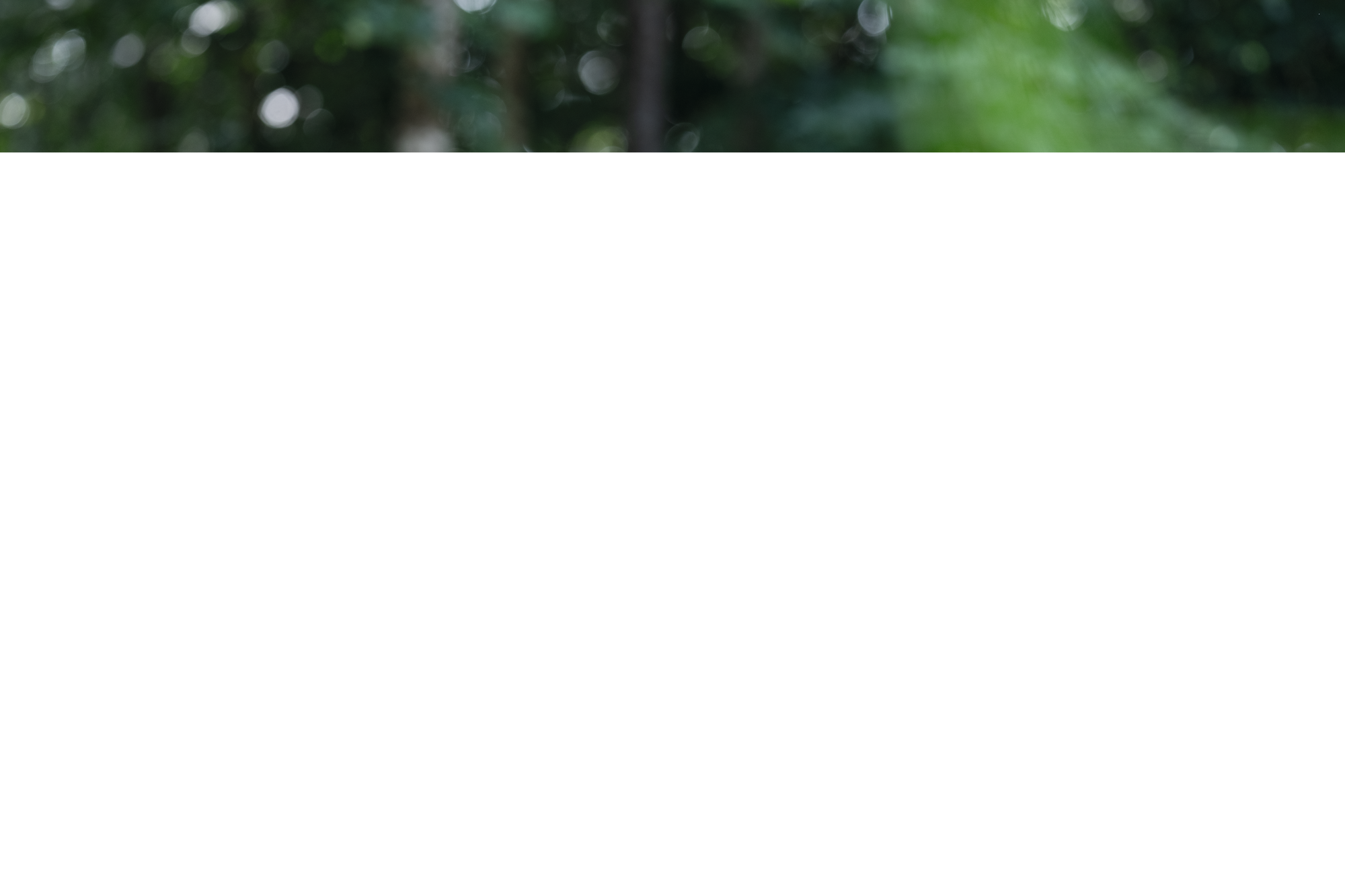 Kachel Bild 1