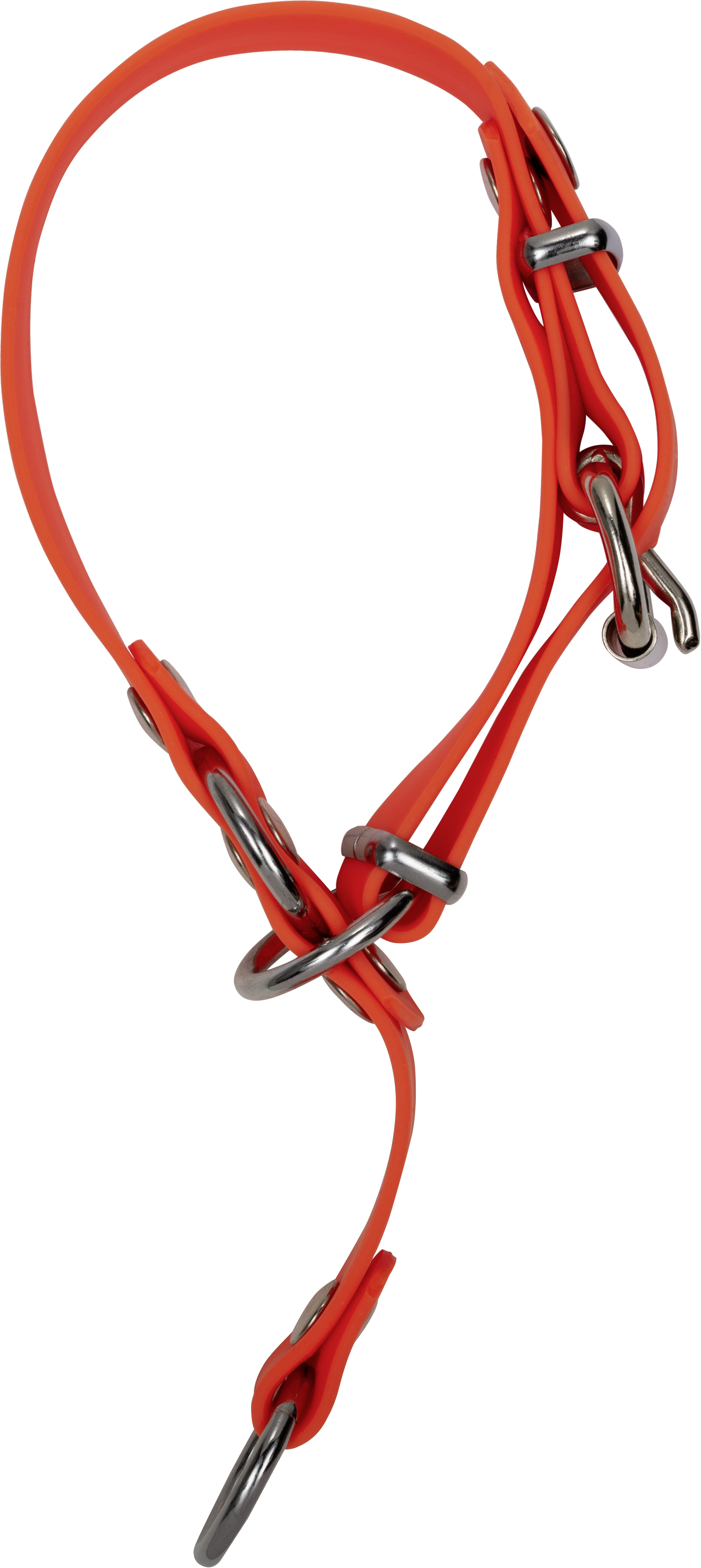 Blaser Dog Collar Professional orange