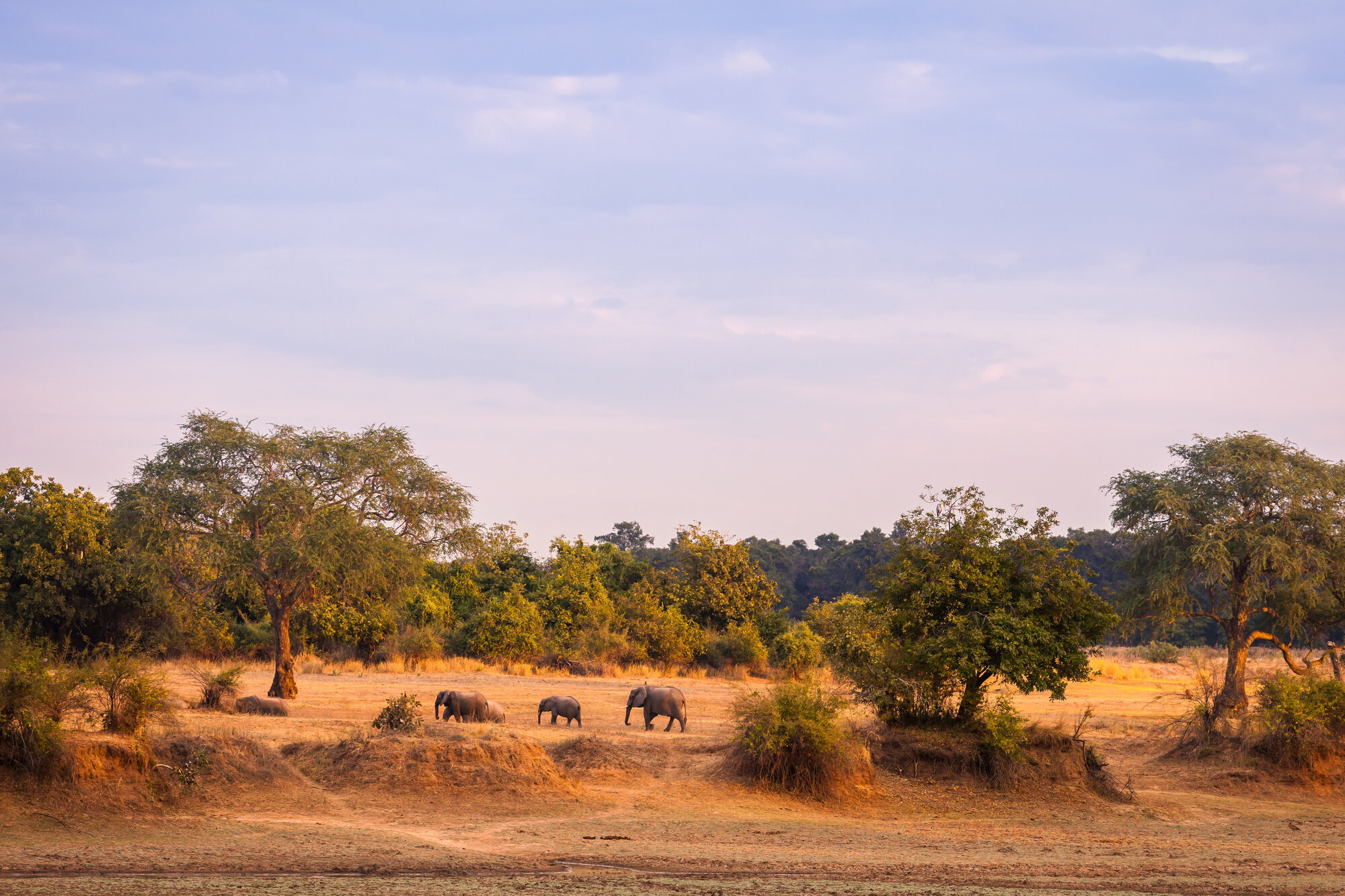 Adventurous hunting experiences in the heart of Zambia!