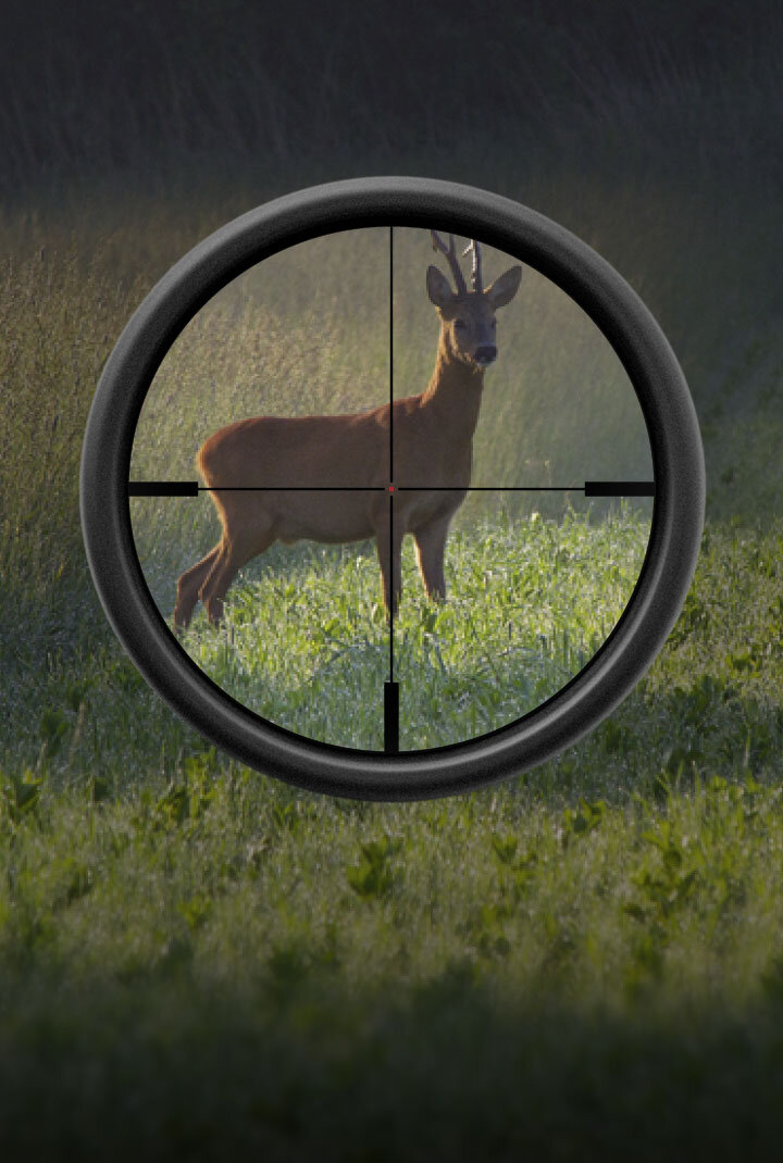 Absehen 1. Bildebene