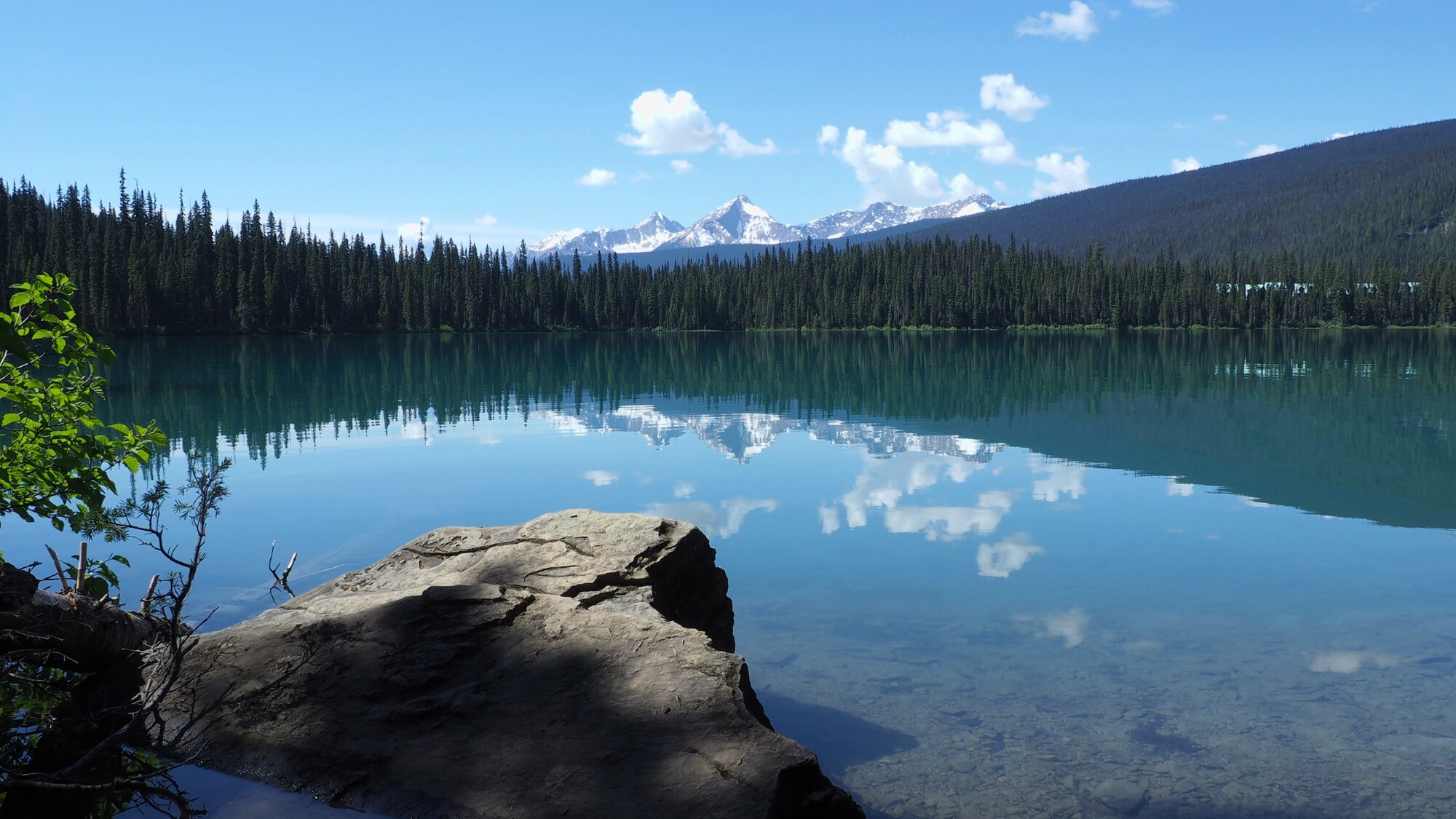 Wildnis erleben – Jagd in British Columbia Nord & Süd