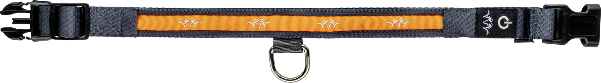 Blaser Halsband LED orange