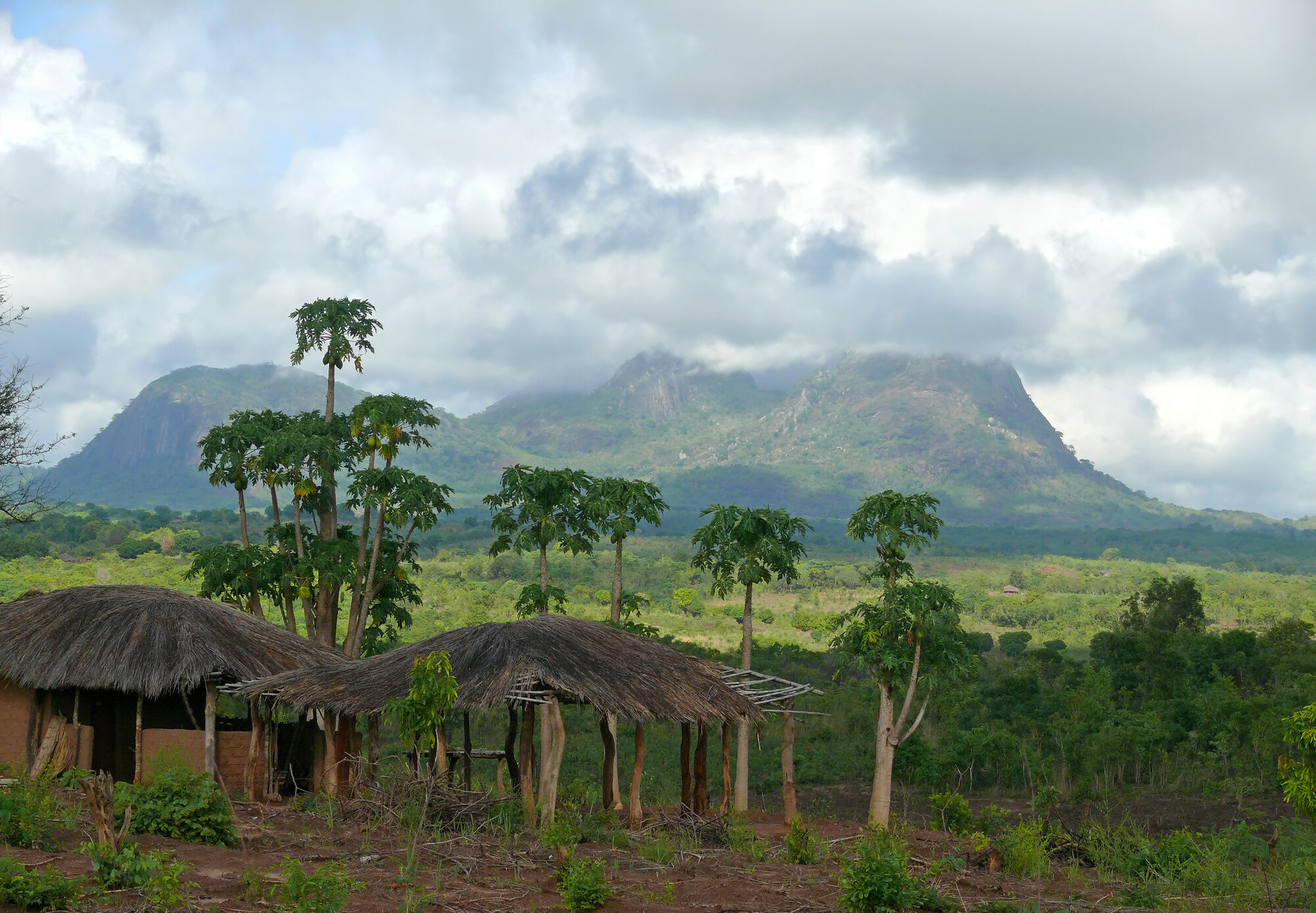 Pure wilderness – hunting in southern Mozambique’s savanna