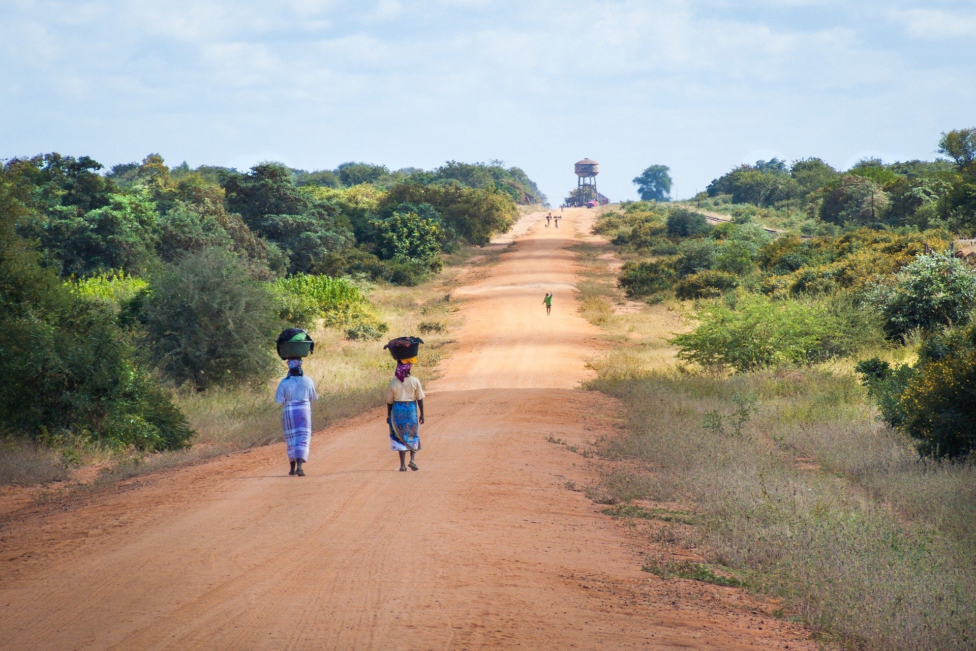 Pure wilderness – hunting in southern Mozambique’s savanna