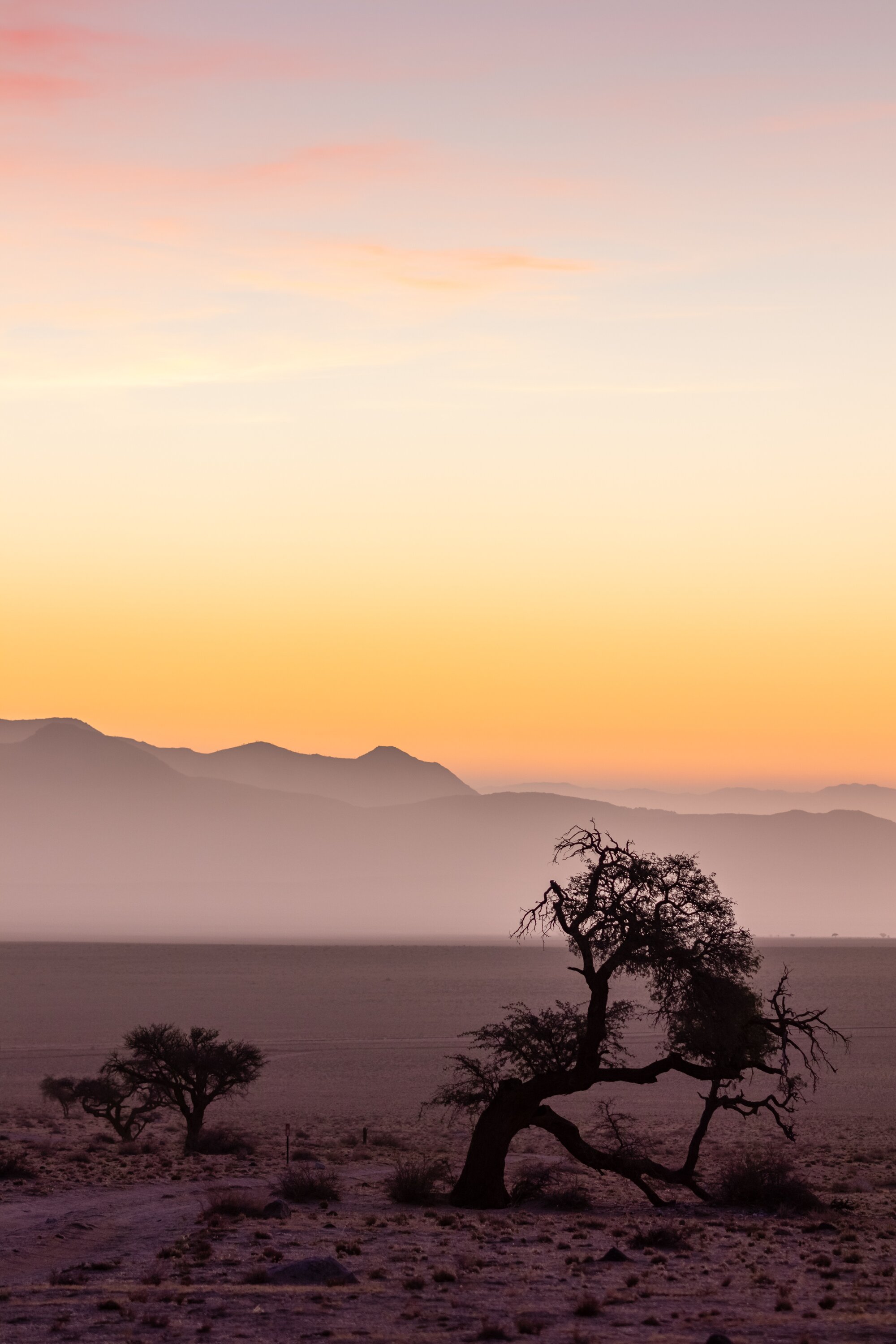 Experience Untamed wilderness while hunting in Namibia’s Zambezi region