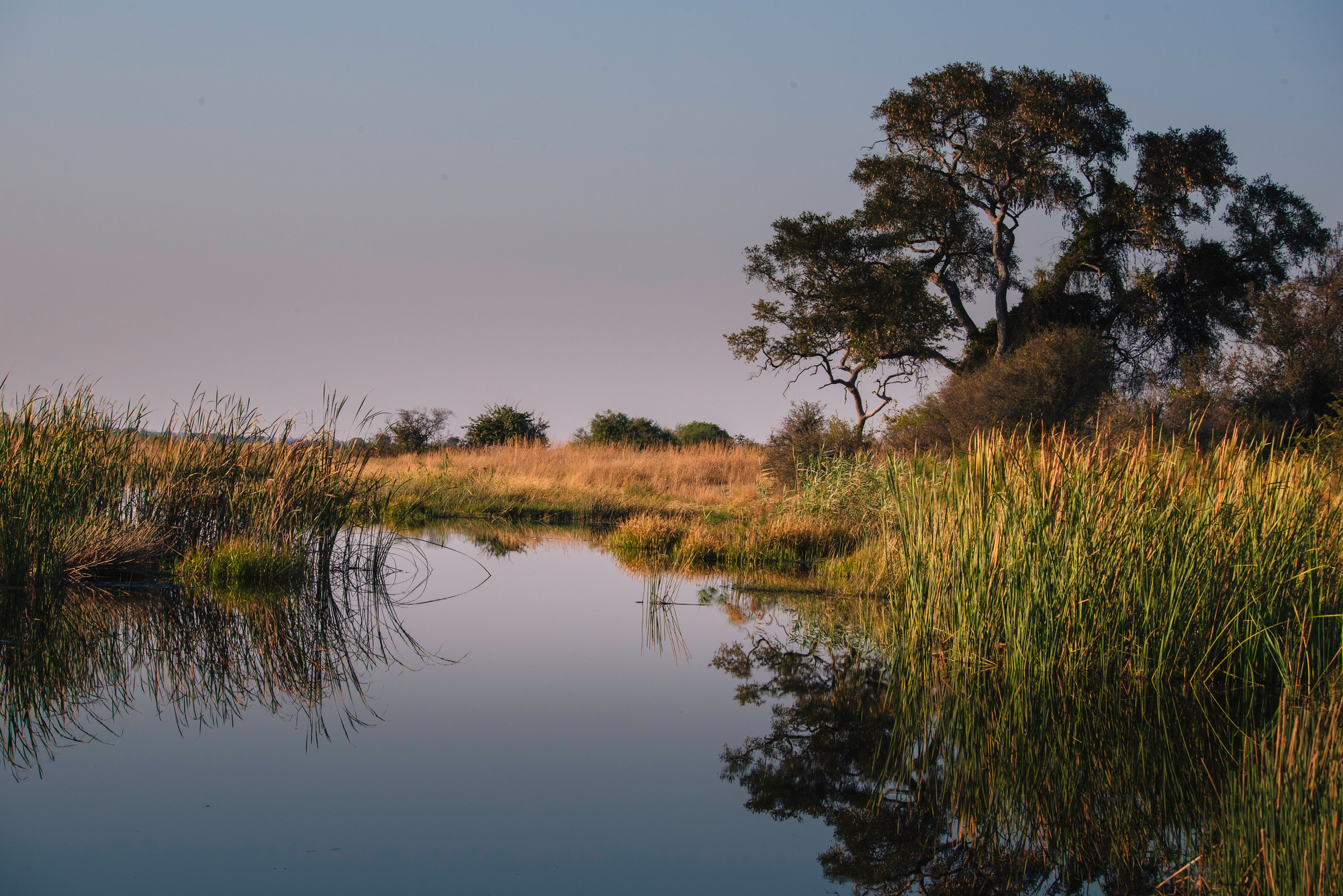 Experience Untamed wilderness while hunting in Namibia’s Zambezi region