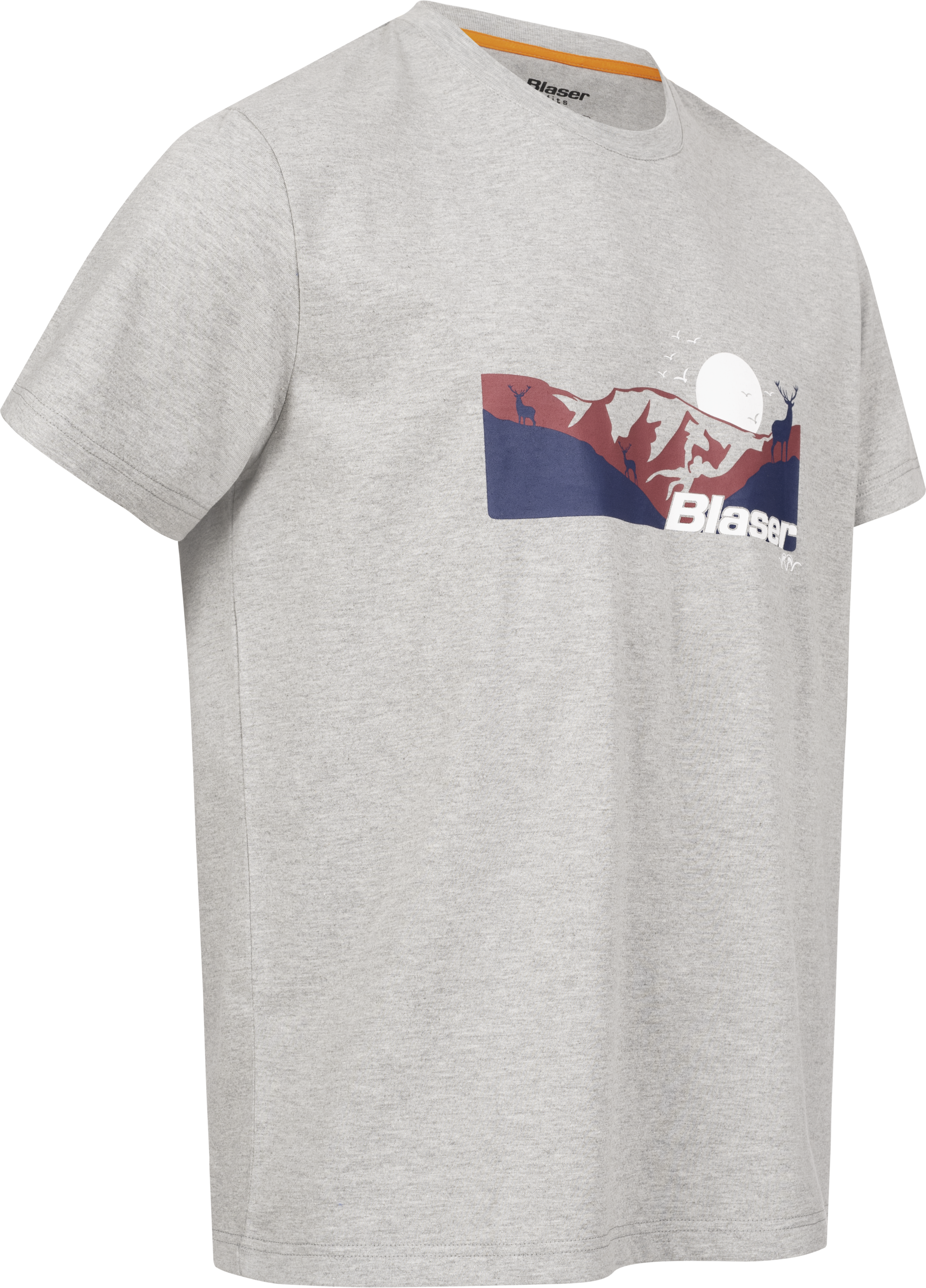 Herren Allgäu Mountain T-Shirt grau mélange