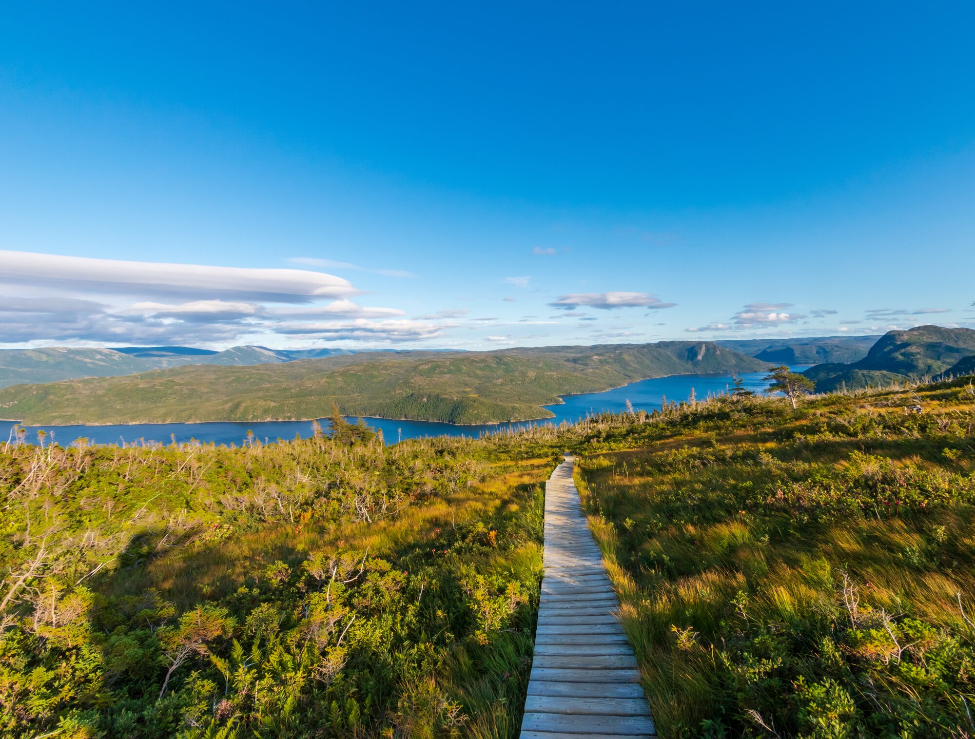 Hunting in Eastern Canada – wild, pristine, impressive