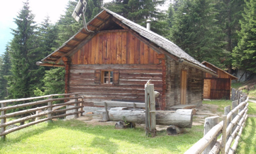 Kachel Bild 4
