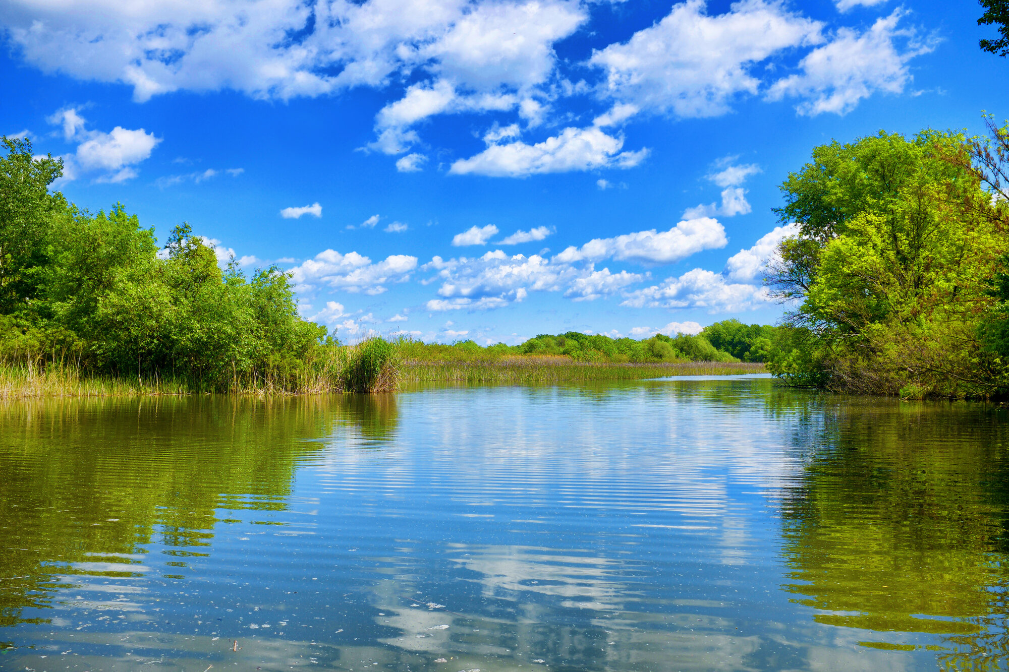 Diverse hunting opportunities in Hungary's nature