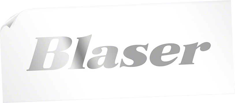 Car window decal BJW