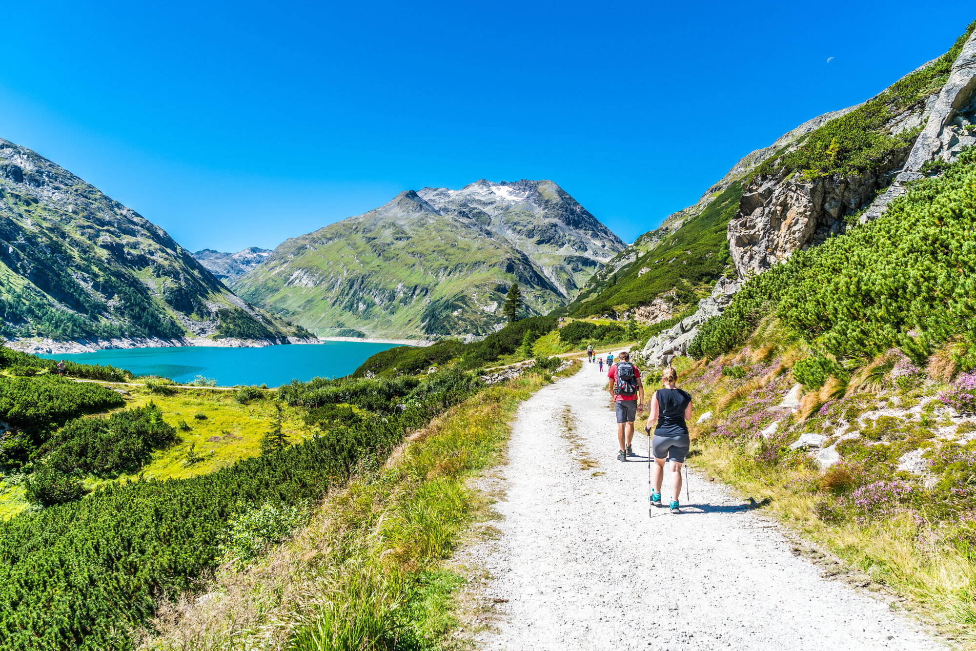 Jagd, Natur & Erholung in den Hohen Tauern